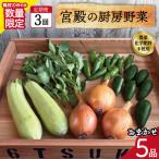 宮殿の厨房野菜おまかせ5品 定期便3回