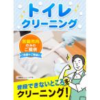 トイレクリーニング B-15