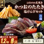 炭焼きかつおのたたき 塩けんぴ1袋セット