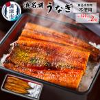ふるさと納税 焼津市 【土用の丑の日までにお届け】食品添加物不使用の 浜名湖うなぎ蒲焼2尾(a15-609)