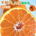 三好農園直送 不知火 ~酸味がアクセント~ 約5kg