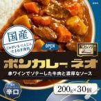 ボンカレーネオ 濃厚デミスパイシー 辛口 30個