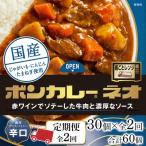 ボンカレーネオ 濃厚デミスパイシー 辛口 30個×2回