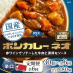 ボンカレーネオ 濃厚デミスパイシー 辛口 30個×6回