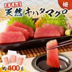 鹿児島産 天然 キハダマグロ 柵 約400g
