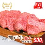 神戸ビーフ 神戸牛 牝 特選焼肉 川岸畜産