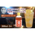クラフトシロップ ジンジャーエール 1本