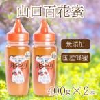 はちみつ 蜂蜜 800g