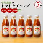 トマトケチャップ 5個セット 380g×5個
