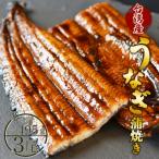 養殖うなぎ蒲焼き 約165g×3尾