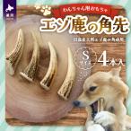 エゾ鹿の角先 Sサイズ×4本セット 1本物