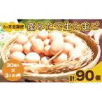 fu.... налог Shimonoseki город [ установленный срок рейс 3 месяцев ] производство . длина сырой Tama .30 шт ×3 месяцев BQ103_NT
