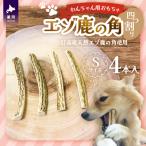エゾ鹿の角 Sサイズ×4本セット 四割