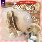 エゾ鹿の角 Mサイズ×2本セット 四割