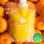 みかんジュース 100% ストレート 高級