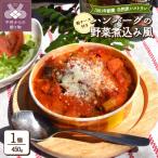 ハンバーグの野菜煮込み風 35 〈レトルト〉