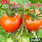 高糖度&高機能性 フルーツトマト 約2kg
