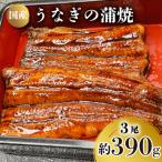 うなぎの蒲焼 3尾