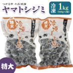 十三湖産 冷凍 ヤマトシジミ 特大 1kg
