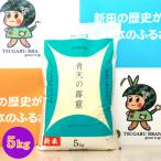 令和6年産 産米 青天の霹靂 5kg