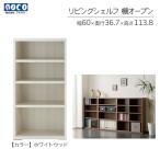 リビングシェルフ 洋服オープン LCS-60