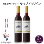 ヤマブドウワイン500ml×2本セット