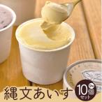 縄文あいす10個セット