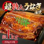 うなぎ 蒲焼き 特大 4尾