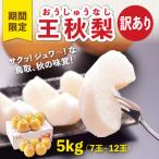 訳あり 王秋梨 5kg
