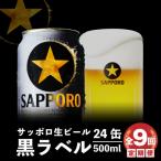 定期便:全9回 黒ラベル500ml×24本
