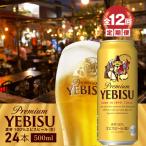 定期便:全12回 ヱビスビール500ml×24本