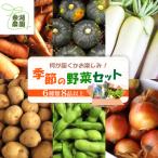 産季節の野菜詰め合わせ 6種類8品