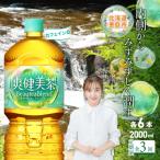 定期便:全3回 爽健美茶2000mlPET×6本
