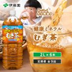 定期便:全9回 健康ミネラルむぎ茶2L×6本