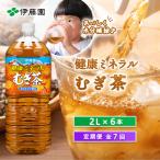 定期便:全7回 健康ミネラルむぎ茶2L×6本