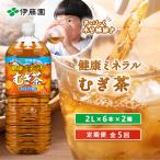 定期便:全5回 健康ミネラルむぎ茶2L×6本×2箱
