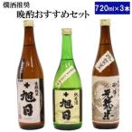 十旭日 熱燗推奨 晩酌 セット