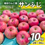 完熟 りんご 葉とらずサンふじ 10kg