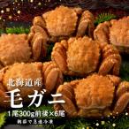 fu.... налог . двор город [ Hokkaido производство ][ рефрижератор ] шерсть ..300g передний и задний (до и после) ×6 кубок [ внезапный скорость рефрижератор ][52001502]