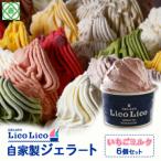 GELATO LicoLico自家製ジェラート6個セット