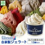 GELATO LicoLico自家製ジェラート12個セット