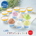 ジェラテリアGigiのイタリアンジェラート6種12個入アソート…