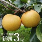 ■三ツ田農園■新興3kg 11M.
