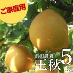 ■前田農園■王秋5kg 13M.