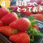 ハワイいちご 223M.