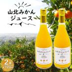 みかんジュース100% ジュース ストレート