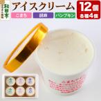 アイスクリーム詰め合わせ 120ml×12個入り