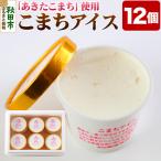こまちアイスセット 120ml×12個入り