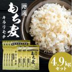 もち麦 キラリモチ 特選もち麦 4.9kg