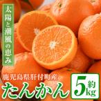 < 受付中 > 岸良のたんかん